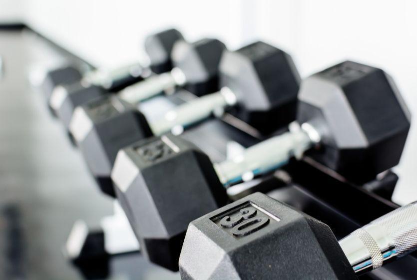 Our Comprehensive Guide to Building Muscle - Top Fitness Store