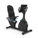 True Performance Series Recumbent Bike